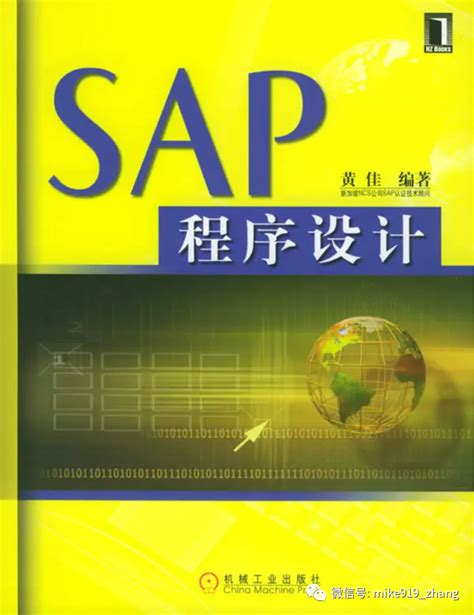 SAP那些事-职业篇-37-SAP相关书籍简单介绍_sap basis运维需要看什么书-CSDN博客