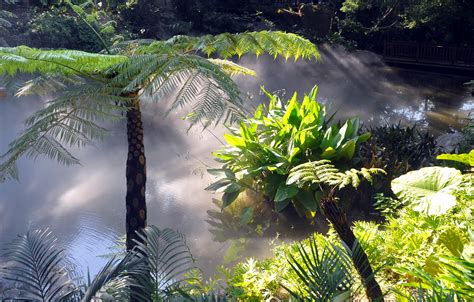 【热带雨林摄影图片】厦门风光摄影_山水行踪_太平洋电脑网摄影部落