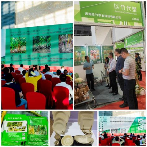 嵩明县林产品企业参展第16届中国义乌国际森林产品博览会 _www.isenlin.cn