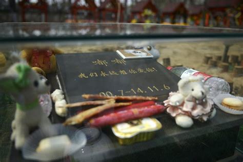 缅怀“家庭至亲” 俄罗斯宠物墓地颇受欢迎_北京时间