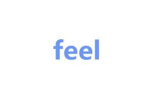 feel（英文单词） - 搜狗百科