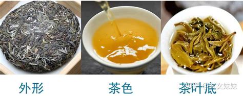 如何选择一款好喝的普洱茶饼 – 普洱堂——探寻普洱茶世界，感受普洱茶生活！