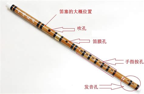 竹笛的基本构成及发音方式-演奏技法-丝竹知音_民族乐器学习网