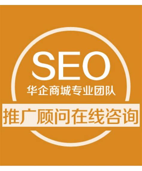 SEO优化问题分析_SEO在线咨询指导_seo推广顾问_网站诊断服务-卖贝商城