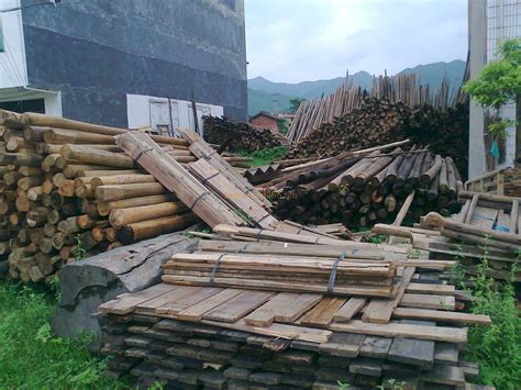 大量销售杉木原木，长度2.5米以上，直径10-15厘米，货在安顺！ - 正材网
