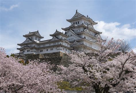日本归化国籍条件和流程，一文解析，助您顺利加入日本国籍！|追创留学