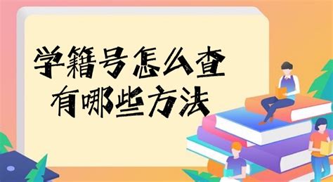 郑州市初中学校代码以及学籍号编制规则_区及