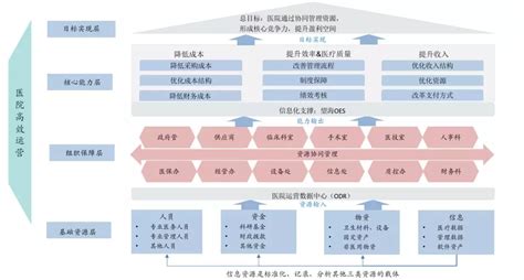 籍信息智能推手 筑现代医财管理——东软望海助力医院财务管理高层论坛 - 快讯 - 华财网-三言智创咨询网