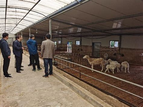 我所专家组赴永靖县推进乡村振兴工作||中国农业科学院兰州兽医研究所