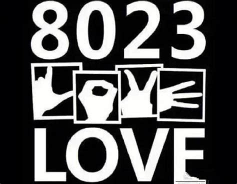 8023什么意思 代表的爱情含义是啥-七乐剧