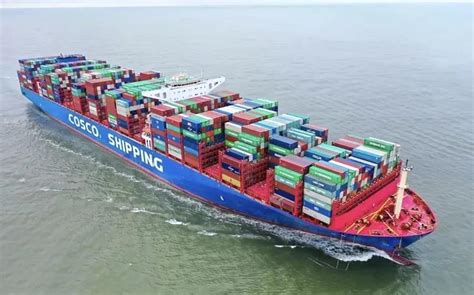 内贸集装箱海运的发展有哪些要求