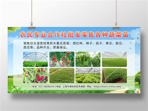 农业种子宣传海报_青柠x-站酷ZCOOL