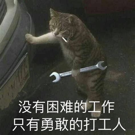 打工人不配累表情包来啦图片 打工人不配累表情包来啦图片