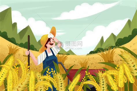 芒种丰收麦穗插画图片下载-正版图片401358670-摄图网