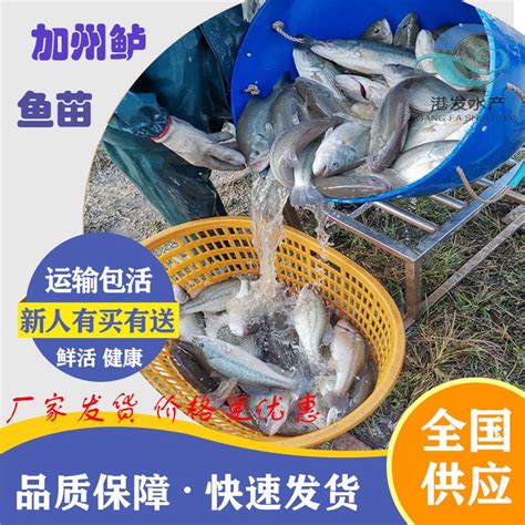 水产养殖-饲料添加剂-沧州旺发生物技术研究所有限公司