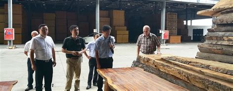 地友：我国木材交易市场的形成和发展轨迹 - 知乎