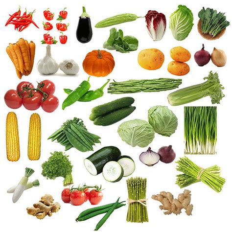 新鲜蔬菜高清图片下载-正版图片501120998-摄图网