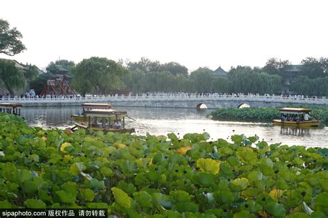 什刹海公园要门票吗（北京一个开放式公园，被誉为“北方水乡”，古迹众多还能免费参观） | 说明书网