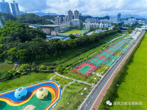 龙华建设集团在建项目荣获深圳市优质结构工程奖 - 深圳市龙华建设发展集团有限公司