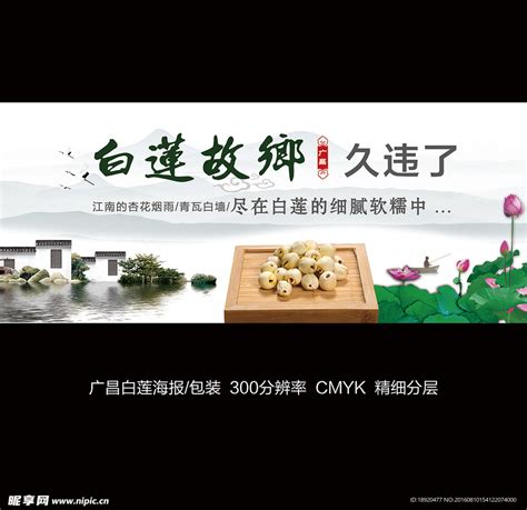中国风广昌白莲海报设计图__广告设计_广告设计_设计图库_昵图网nipic.com