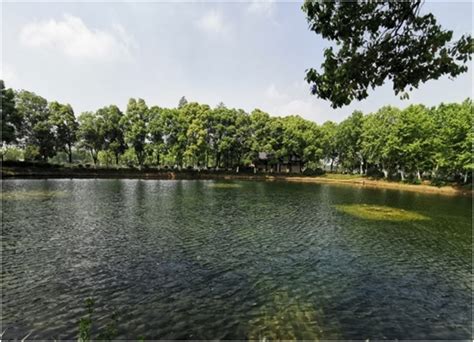 湖北武汉东湖边湛蓝的湖水高清图片下载-正版图片500818875-摄图网