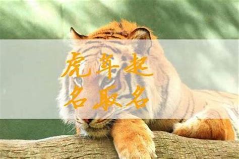 虎年生肖系列|平面|海报|gjl7039 - 原创作品 - 站酷 (ZCOOL)