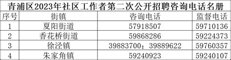 青浦区2023年社区工作者第二次公开招聘公告已发布，速来报名！_2023本市民政_上海市民政局