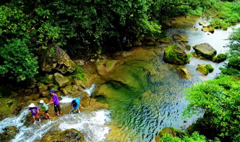 贵州茂兰生态旅游区 荔波茂兰生态旅游门票 电子门票 ,马蜂窝自由行 - 马蜂窝自由行