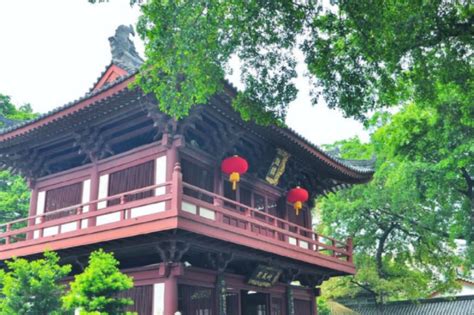 深圳祈福最灵验的地方，置身一片植物园中，风景秀美成为网红景点__财经头条