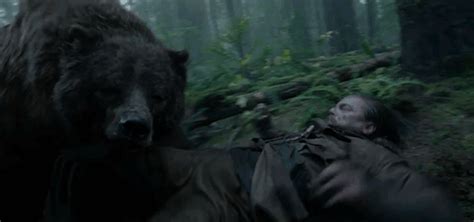 熊罴百万，食肉目的熊到底有多暴虐，压狼拍虎，力有千斤喜怒无常