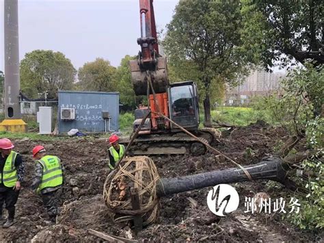 浙江日报跨版聚焦宁波老旧小区改造试点工作