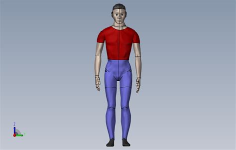 人体模型，人物站姿_SOLIDWORKS 2014_模型图纸下载 – 懒石网