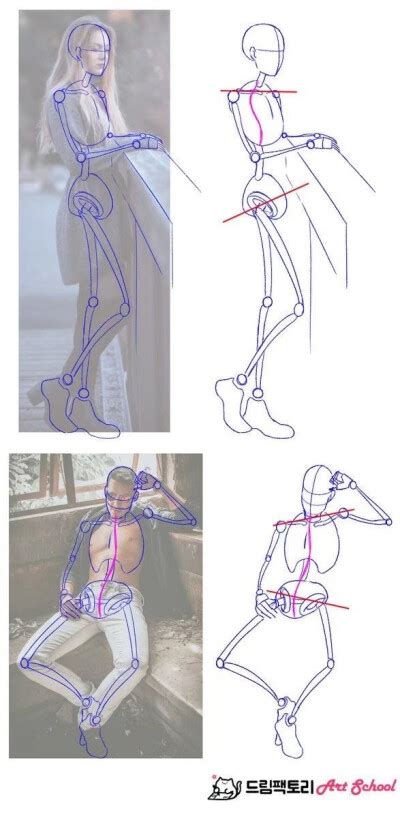 欧美人体结构图片