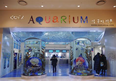 2020上海海洋水族馆门票,上海上海海洋水族馆游玩攻略,上海海洋水族馆游览攻略路线/地址/门票价格-【去哪儿攻略】
