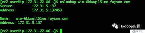 ubuntu20.04配置DNS服务器