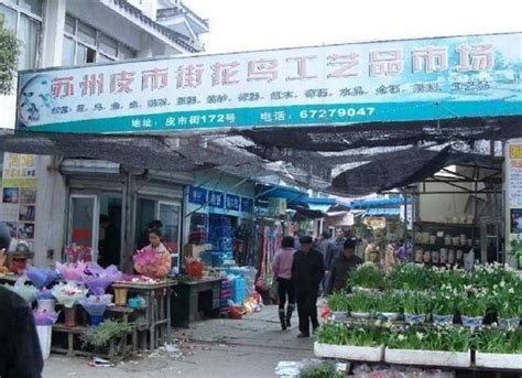 陪伴街坊近20年，芳村花鸟鱼虫市场正式落幕，以后买花去这里~