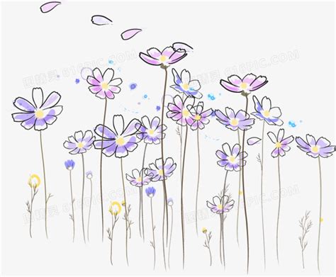 小花花图片