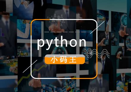 Python编程从入门到实践（第2版）演示视频-已获出版社授权 - 影音视频 - 小不点搜索