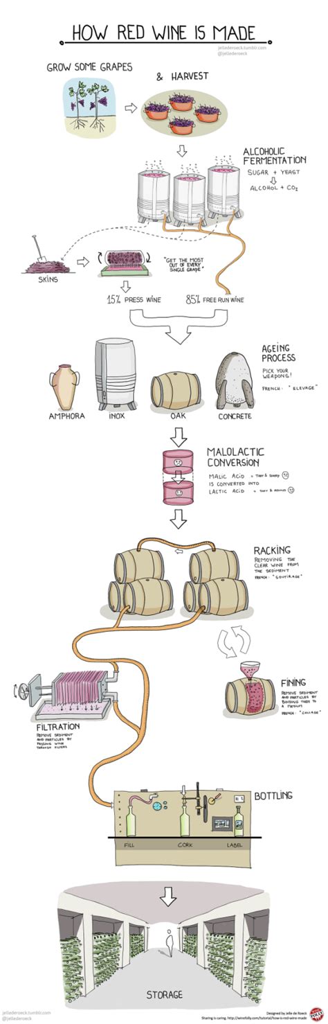 一图看懂葡萄酒、白酒、啤酒的酿造过程-葡萄酒,白酒,酿造-佳酿网