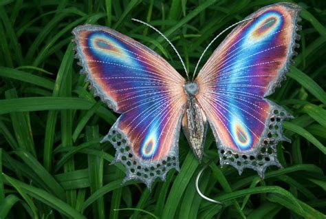 蝴蝶的翅膀可以引起飓风，可你听到过蝴蝶扇动翅膀的声音吗？_装修达人_装修头条_齐家网