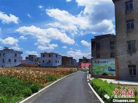 停工、拆除！广西这些人在农村违法占地建房被通报了-桂林生活网新闻中心