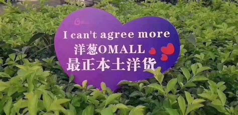 洋葱OMALL-小米应用商店