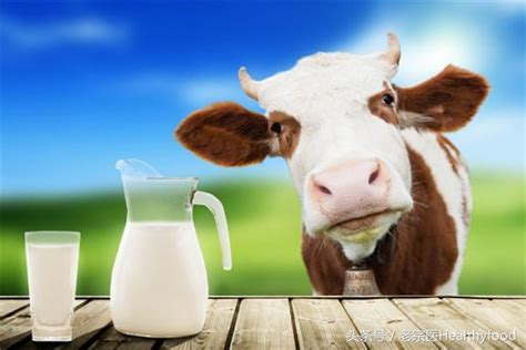 营养家永远不会买的3种假牛奶，全是化学添加剂，有人却天天买|早餐奶|营养|含量_新浪新闻