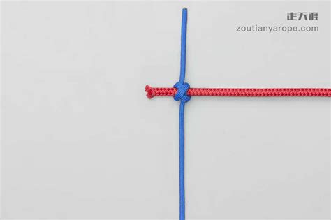 Knots——一个可以深度按摩的神奇绳结! - 普象网