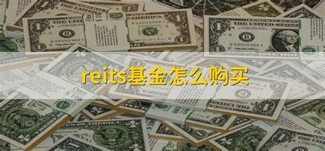 第三批reits基金一览表（中国第一支reits基金） | 数字藏品