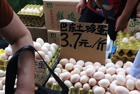 9月涨价预期高 鸡蛋期货合约走势分化-农产品期货-18期货网