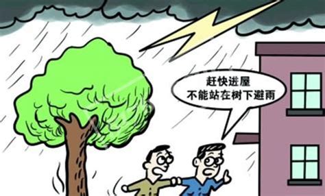 台风“马鞍”将给广东带来大风、暴雨，这些安全事项要注意_深圳宝安网