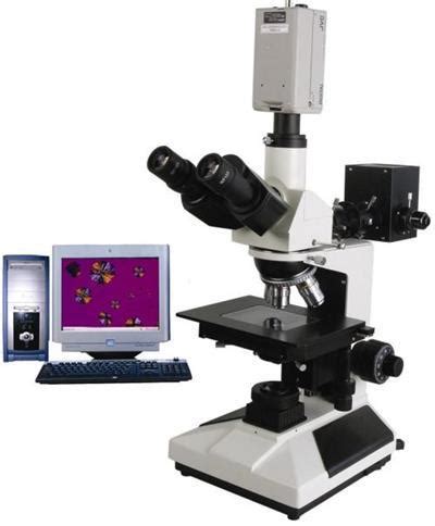 光学显微镜放大倍数是指长度或者宽度,还是指长度和宽度?