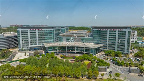 光谷医疗（武汉）科技技术有限公司