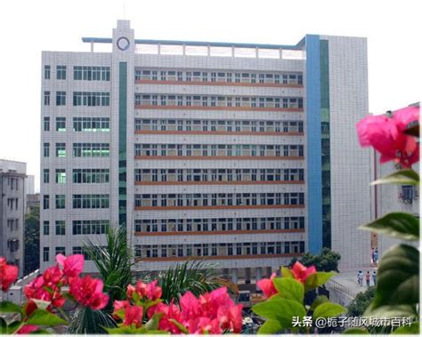 湛江市旅游职业技术学校2023年学费、收费多少_好学院招生网
